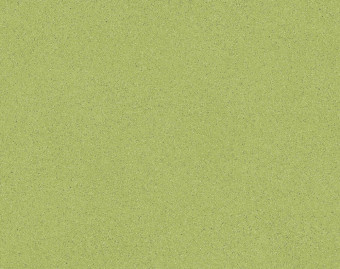 [700111309_3] Xtreme - Mira 550M 2000